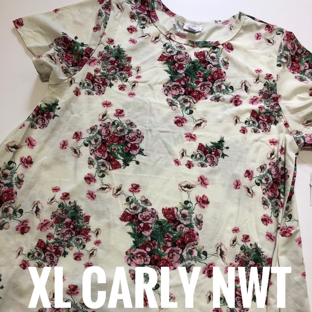 XL LuLaRoe Carly